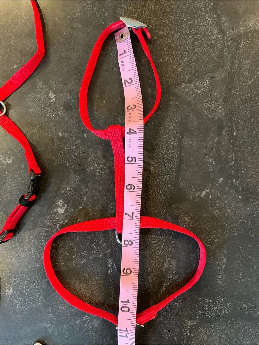 Bright Red Nylon Cat Harness and Leash Set